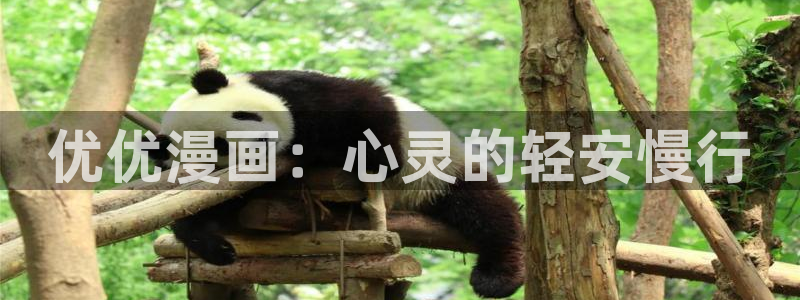 韩漫之家在线观看免费：优优漫画：心灵的轻安慢行