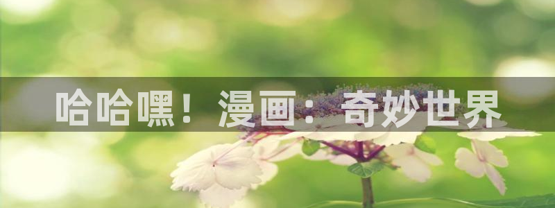 51韩漫网站：哈哈嘿！漫画：奇妙世界