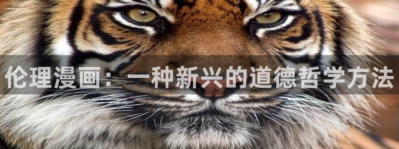 51韩漫在线观看免费漫画入口：伦理漫画：一种新兴的道德哲学方法